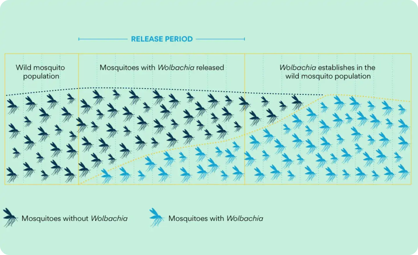 Phần mềm phòng chống suất huyết áp dụng tại 12 nước